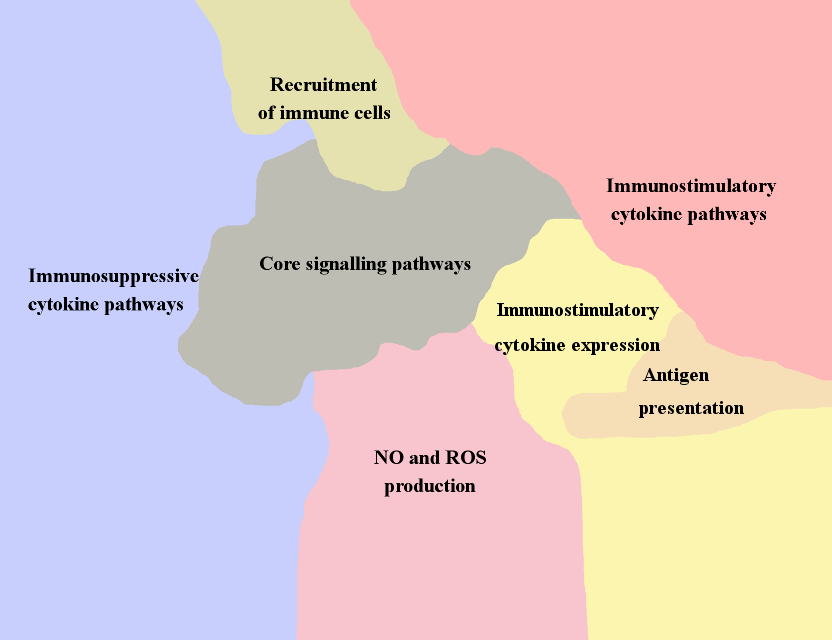 Macrophage Cell and MDSC Map